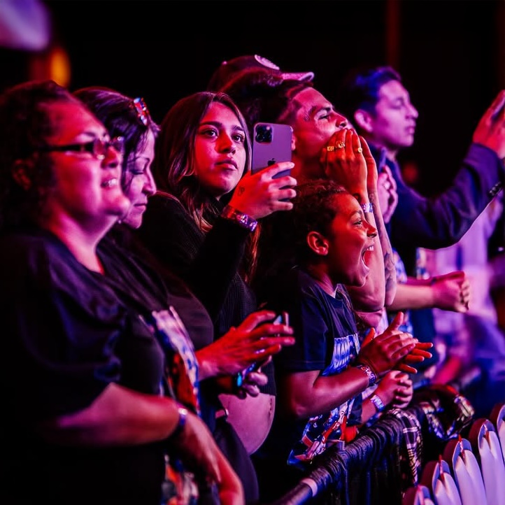 Fans taking photos at VFS